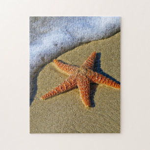 SingleStarfish auf Strand Puzzle