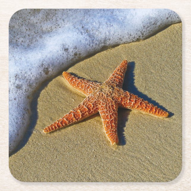 SingleStarfish auf Strand Rechteckiger Pappuntersetzer (Vorderseite)