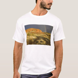 Singletrack bei Red Cliffs Desert Preserve nahe T-Shirt