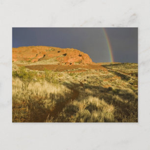 Singletrack im Red Cliffs Desert Preserve bei Postkarte