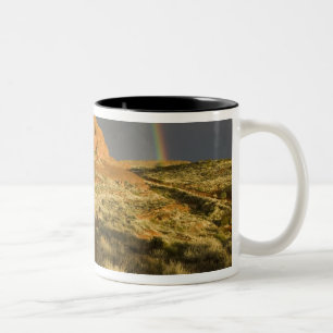 Singletrack im Red Cliffs Desert Preserve bei Zweifarbige Tasse