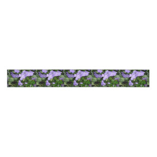Singrün-Band Ripsband