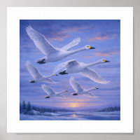 Singschwäne im Winterhimmel – Japanische Wildvögel