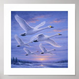 Singschwäne im Winterhimmel – Japanische Wildvögel Poster