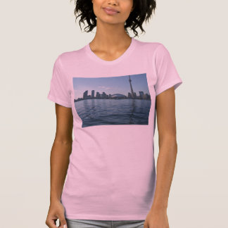 singt pic's1 015 T-Shirt