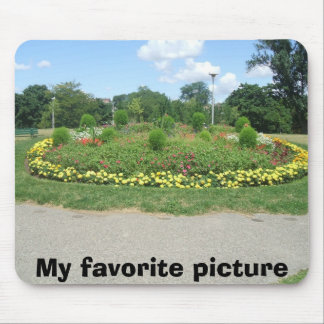 singt pic's1 022, mein Lieblingsbild Mousepad