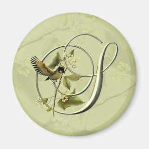 Singvogel Anfangss Magnet
