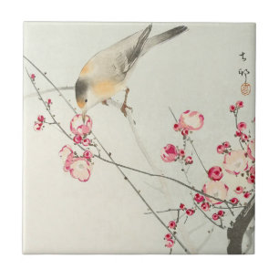 Singvogel auf blühendem Ast von Ohara Koson Fliese