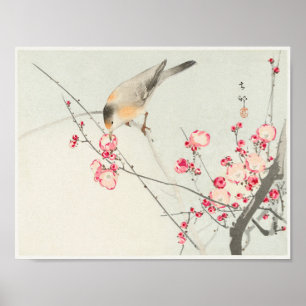 Singvogel auf blühendem Ast von Ohara Koson Poster
