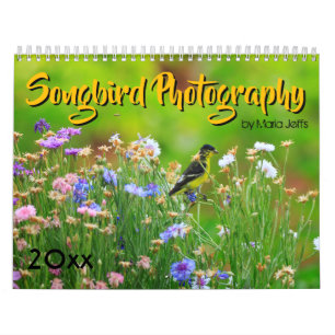 Singvogel-Fotografie 2019 Kalender