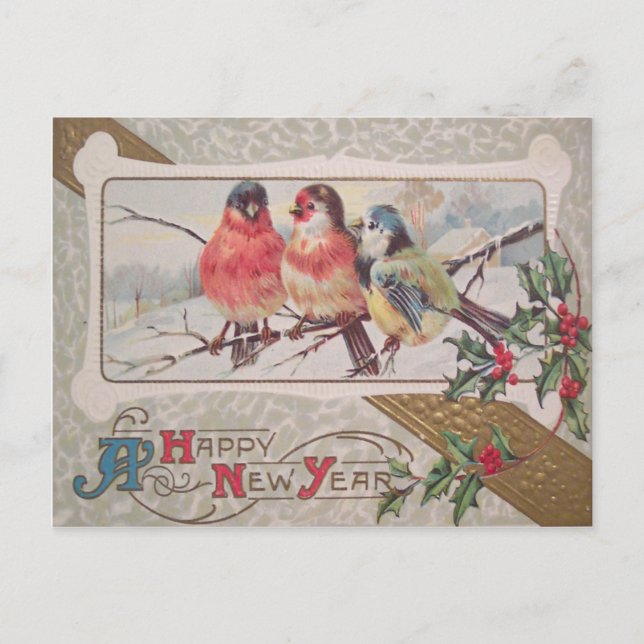 Singvogel Holly Schnee Postkarte (Vorderseite)