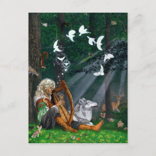 Singvögel - Postkarte