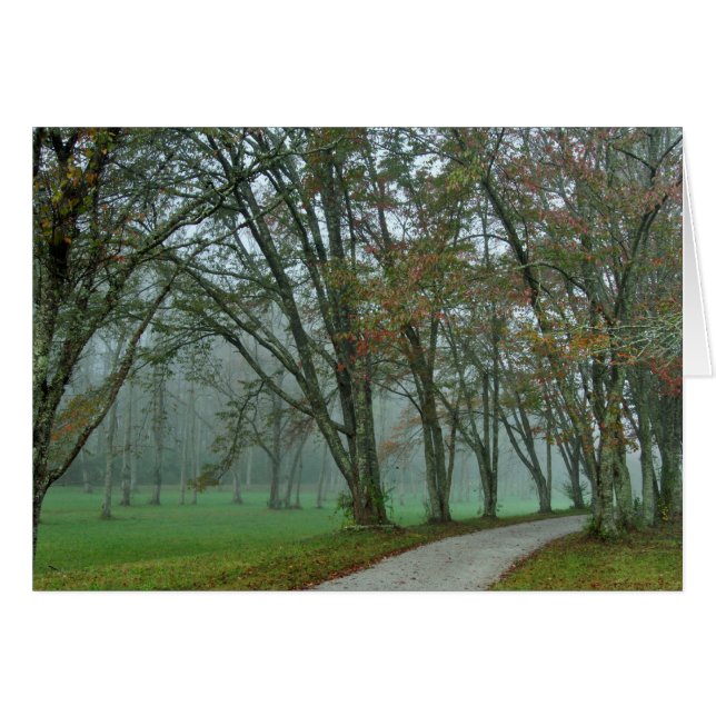 Singvogel-Spur II (Vorderseite (Horizontal))