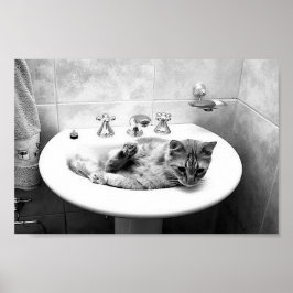 sink_cats_12 Haustiere Kühe zart Poster