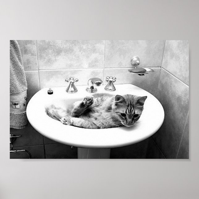 sink_cats_12 Haustiere Kühe zart Poster (Vorne)