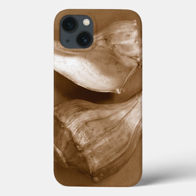 Sinnliche Muscheln Case-Mate iPhone Hülle (Rückseite)