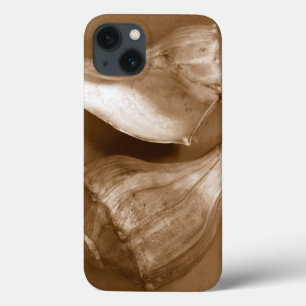 Sinnliche Muscheln iPhone 13 Hülle
