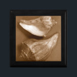 Sinnliche Muscheln Geschenkbox<br><div class="desc">Renee W. Stramel fängt diese Muscheln in einem schönen Sepia-Ton ein. Dieses Vintage Kunstwerk ist eine perfekte Ergänzung für alle Seemannliebhaber. Holen Sie sich noch heute Ihren Kunstdruck auf Ihr Produkt.</div>