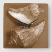Sinnliche Muscheln