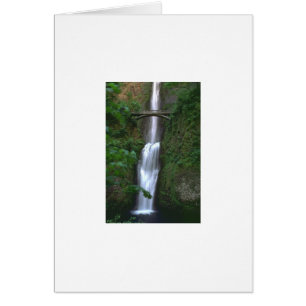 Sinnliches Schongebiet