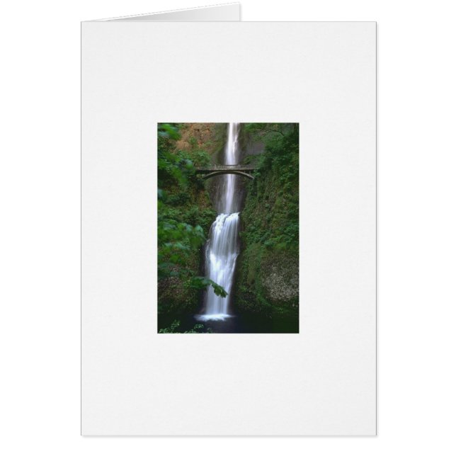 Sinnliches Schongebiet (Vorne)