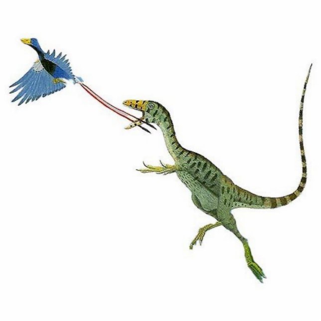 Sinosauropteryx Dinosaurier-Foto-Skulptur Greg Freistehende Fotoskulptur (Vorne)