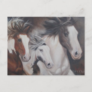 Sinti und Roma ausführen Postkarte