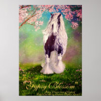 "Sinti und Roma Blassom" Irish Vanner Stallion Pfe