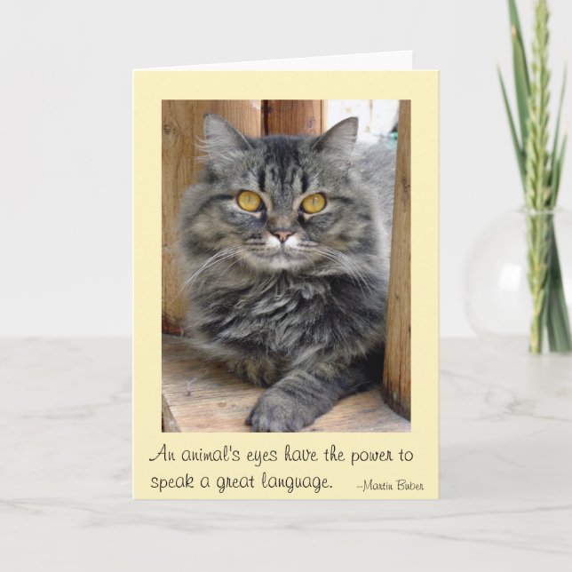 Sinti und Roma Dankeskarte (Vorderseite)