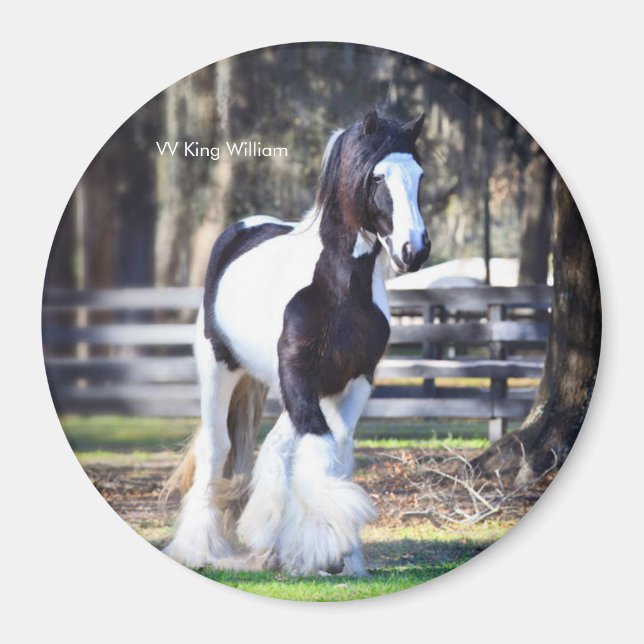 Sinti und Roma Gold King William Magnet (Vorne)