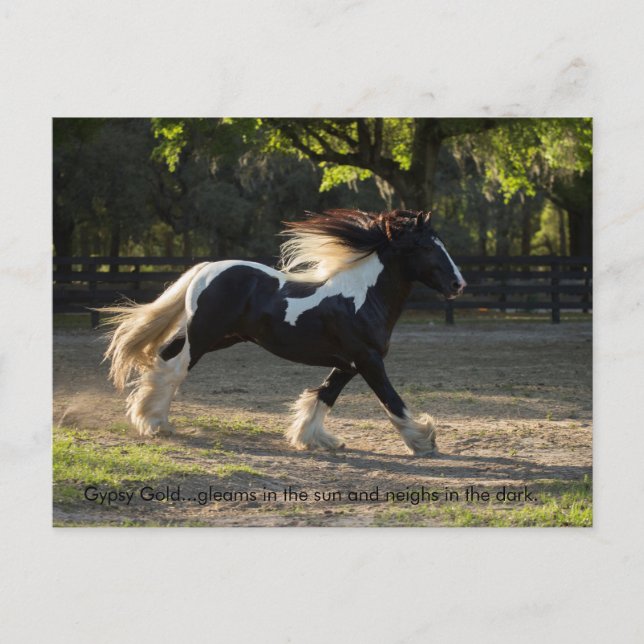 Sinti und Roma Gold-Provek-Postkarte Einladungspostkarte (Vorderseite)