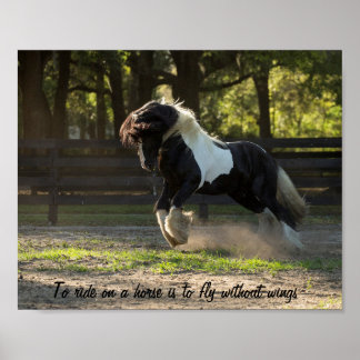 Sinti und Roma Gold Sinti und Roma Vanner Poster