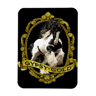 Sinti und Roma-Goldlogomagnet Magnet