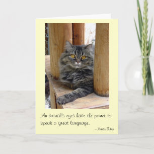 Sinti und Roma Karte