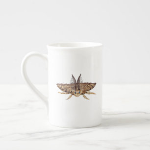 Sinti und Roma-Moth, Lymantria dispar zoologisch Prozellantasse