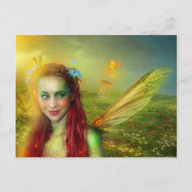 Sinti und Roma Moth Postcard Postkarte (Vorderseite)