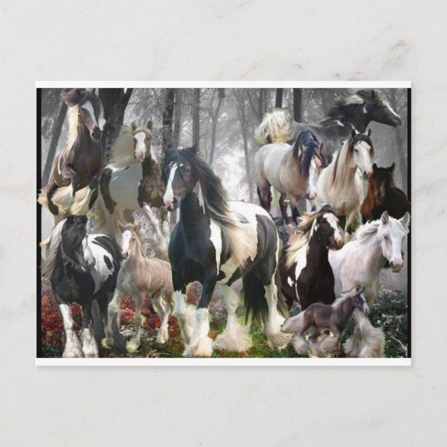 Sinti und Roma Pferdegeschenke Postkarte (Vorderseite)