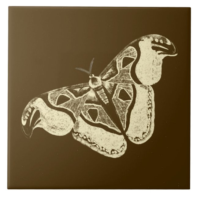 Sinti und Roma, schokoladenbraun und beige Fliese (Vorderseite)