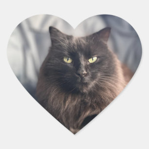 Sinti und Roma - Schwarze Katzenaufkleber Herz-Aufkleber