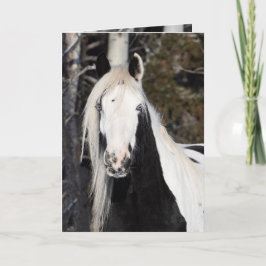 Sinti und Roma sieht aus - Grußkarte Karte