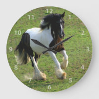 Sinti und Roma Vanner