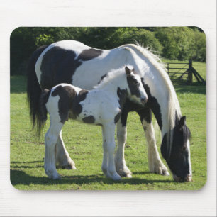 Sinti und Roma Vanner Horse Mare und Fohlen Mousepad
