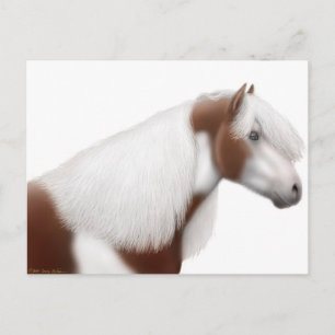 Sinti und Roma Vanner Horse Postcard Postkarte