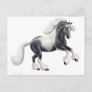 Sinti und Roma Vanner Horse Postcard Postkarte