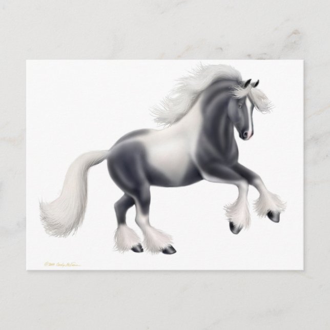 Sinti und Roma Vanner Horse Postcard Postkarte (Vorderseite)