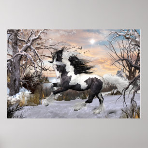 Sinti und Roma Vanner Horse Poster