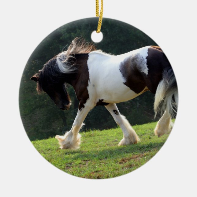 Sinti und Roma Vanner Keramik Ornament (Vorne)