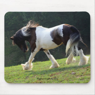 Sinti und Roma Vanner Mousepad