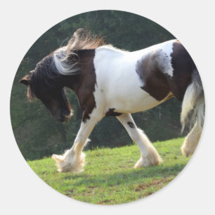Sinti und Roma Vanner Runder Aufkleber