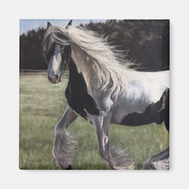 Sinti und Roma-Vannerphinpferd läuft auf dem Feld Magnet (Vorne)